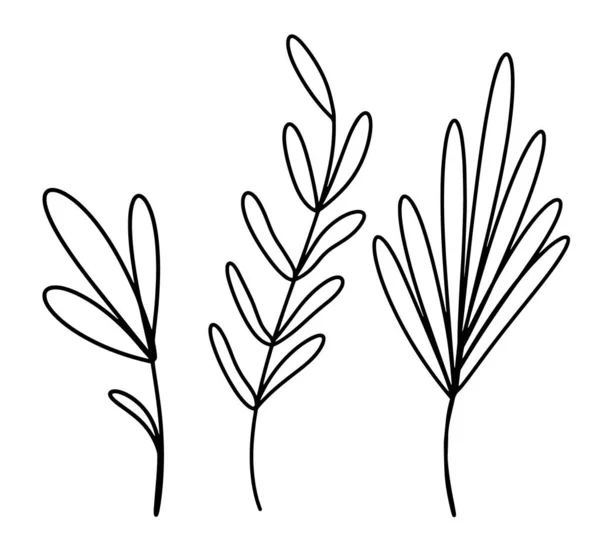 Egy sor botanikai elem egyetlen vonallal, egy minimalista firka stílussal, egy eukaliptusz hajtással, egy pálmalevéllel, egy absztrakt virággal. Vektor illusztráció. Logó tervezési elemek — Stock Vector