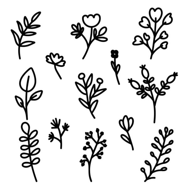 Képeslapok, meghívók tervezéséhez, logók vagy bannerek készítéséhez szükséges botanikai elemek gyűjteménye. Fekete-fehér vektor virágok, bogyók, gallyak és levelek design. Egyszerű, lapos firka stílus.. — Stock Vector