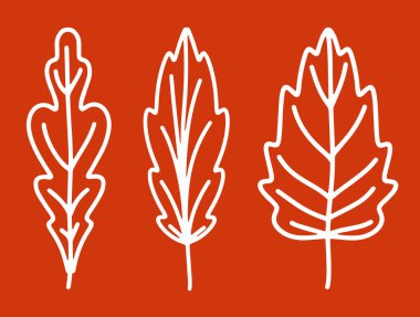 Farklı şekillerde düşen sonbahar yaprakları koleksiyonu. Sonbahar arkaplanı, farklı yapraklı bir poster. Kartpostal, davetiye, poster yapmak için mevsimlik sonbahar öğeleri. Çizgi film düz stili