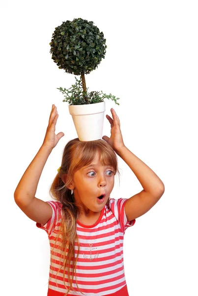 The little girl holds a flowerpot on the head, isolated on white background — Zdjęcie stockowe