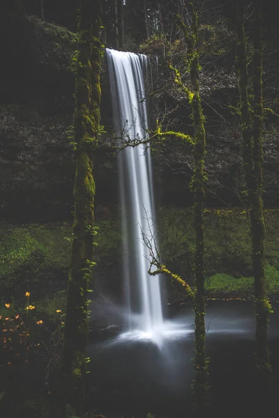 Aspen Boardman Color Fall Fog Oregon Park Pnw Road Silver 로열티 프리 스톡 사진