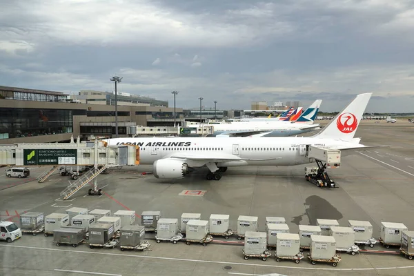 Narita Japan Maj 2018 Usługi Obsługi Naziemnej Kontenery Cargo Czekają — Zdjęcie stockowe