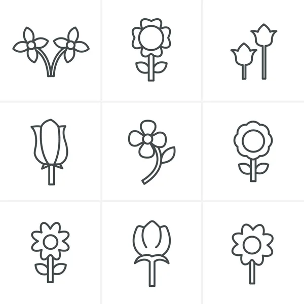 Iconos de línea Estilo Vector Flor icono conjunto — Archivo Imágenes Vectoriales