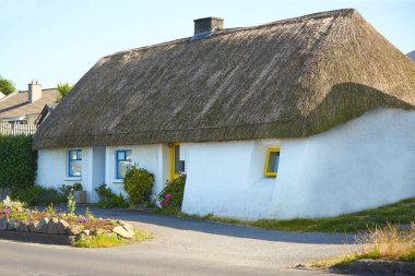 Geleneksel renkli İngiltere giriş kapısı olan parlak İrlanda evi manzarası.
