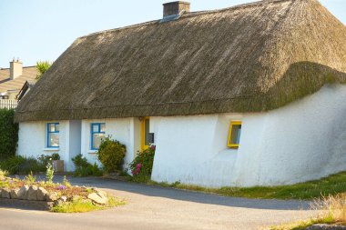 Geleneksel renkli İngiltere giriş kapısı olan parlak İrlanda evi manzarası.