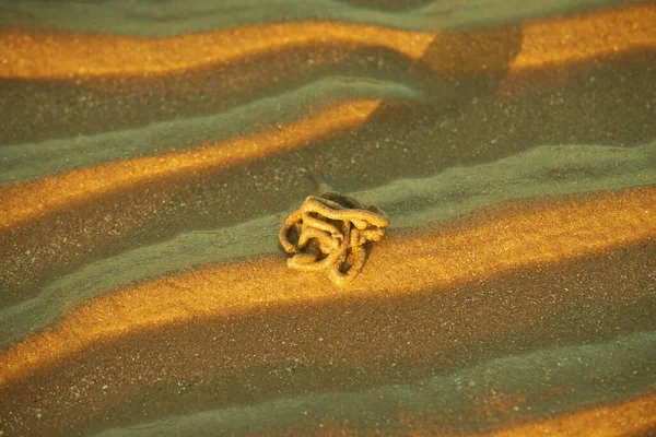 Zandgolven Textuur Met Water Het Zeestrand Gele Zandtextuur Voor Achtergrond — Stockfoto