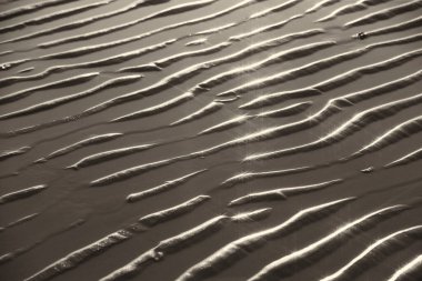 Parlak su ve yumuşak dalgaların dokusu. Suda parlayan arka plan. Güneş parlayan ve dalgalanan deniz suyu. Güçlü ve barışçıl doğa kavramı.