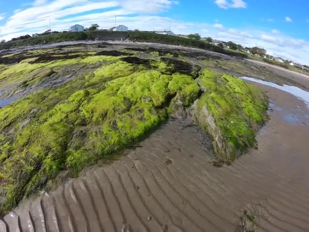 Playa Arena Arcos Con Musgo Verde Durante Día — Vídeo de stock