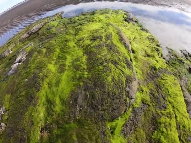 Praia Areia Arcos Com Musgo Verde Durante Dia — Vídeo de Stock