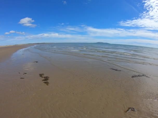 Piękna Piaszczysta Plaża Jasnym Błękitnym Niebem — Wideo stockowe