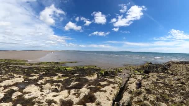 沙滩和白天长有绿色苔藓的拱门 — 图库视频影像