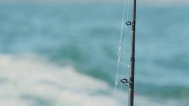 Kancalı olta doğal ortamında, arka planda deniz var.