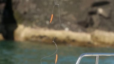 Kancalı olta doğal ortamında, arka planda deniz var.