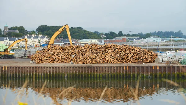 Timber export or import, loading on cargo ship in Wicklow commercial port or harbour in Ireland. Transport industry. Close up on wood logs gripple