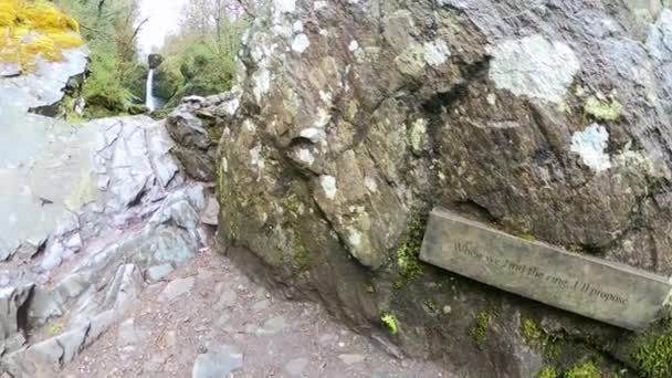 Ruisseau Forestier Entouré Forêts Anciennes Parc National Wicklow Irlande — Video