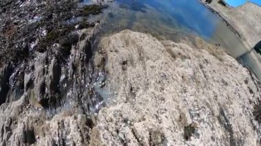 Charles Fort 'un duvarları ve kaleleri. Akraba evliliği. İrlanda.