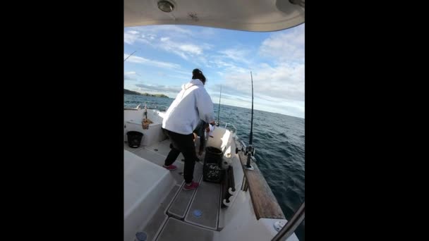 Pêcheur Femme Attraper Maquereau Pleine Mer Partir Bateau — Video