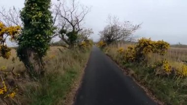 Bulutlu ve yağmurlu havada bataklıklar.