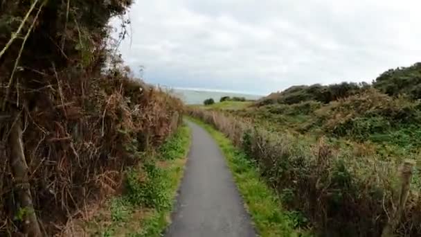 Verhuizen Het Zandpad Naar Het Strand — Stockvideo