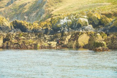 Eli olmayan dalgıç adanın yakınına dalmaya hazırlanıyor.
