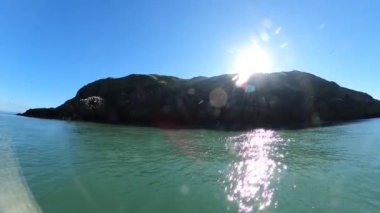 Yeşil yosunlarla kaplı Rocky adası ve İrlanda denizinde su üzerindeki kuşlar..