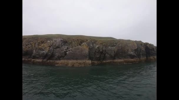 島の海に緑の苔と鳥で覆われたロッキー島 — ストック動画