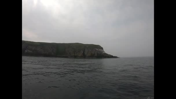 Isla Rocosa Cubierta Musgo Verde Aves Agua Mar Irlandés — Vídeo de stock