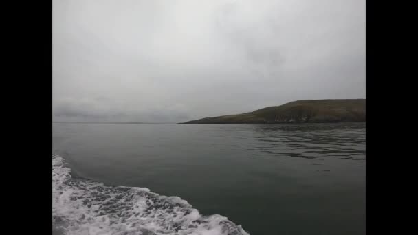 島の海に緑の苔と鳥で覆われたロッキー島 — ストック動画