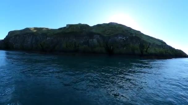 Isola Rocciosa Coperta Muschio Verde Uccelli Acqua Nel Mare Irlanda — Video Stock