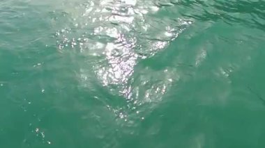 Parlak denize yansıyan güneş ışığının ayrıntıları. Suda maytap - arka plan. Güneş parlayan ve dalgalanan deniz suyu. Güçlü ve barışçıl doğa kavramı.