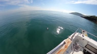 Beyaz balıkçı teknesi İrlanda açıklarında yelken açıyor..