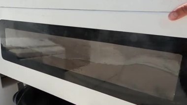 Tekne akvaryumunda yüzen taze uskumru..