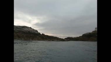 Yeşil yosunlarla kaplı Rocky adası ve İrlanda denizinde su üzerindeki kuşlar..