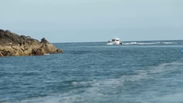 Fast Boat Wavy Blue Sea Luxury Motor Boat Navigation — Stock Video