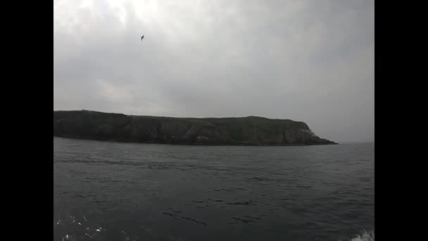 Skalista Wyspa Pokryta Zielonym Mchem Ptakami Wodzie Irlandzkim Morzu — Wideo stockowe