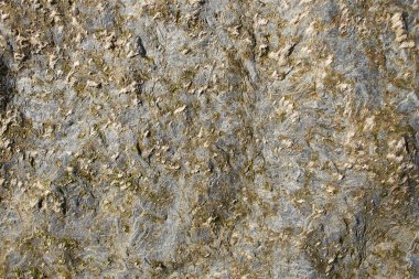 Mermer desenli zemin dekoratif taş iç döşeme. Mermer zeminin doğal deseni, yüzeydeki kaya taşı mermer desenli mavi soyut dokuya yakın.