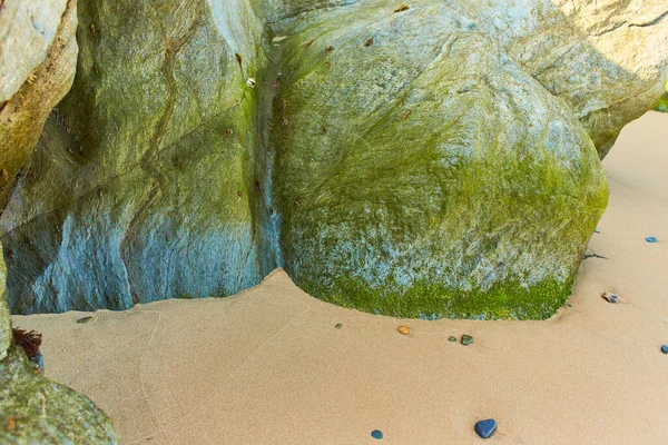 Playa Rocosa Con Musgo Verde Durante Día Con Fondo Marino — Foto de Stock