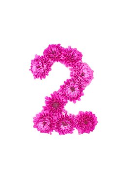 Çiçeklerin iki numarası, pembe kasımpatı figürleri, beyaz arka planda izole edilmiş.