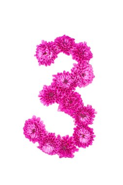 Çiçeklerden yapılmış üç numara, pembe kasımpatı figürleri, beyaz arka planda izole edilmiş.