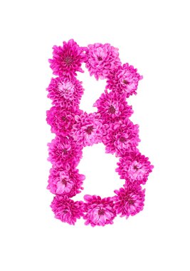 B harfi çiçeklerden yapılmış, pembe kasımpatı figürleri, beyaz arka planda izole edilmiş..