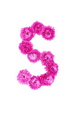 Çiçeklerden yapılmış S harfi, pembe kasımpatı figürleri, beyaz arka planda izole edilmiş..
