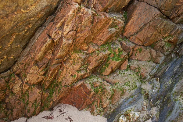 Rotsachtige Strand Met Groen Mos Dag Met Zee Achtergrond — Stockfoto