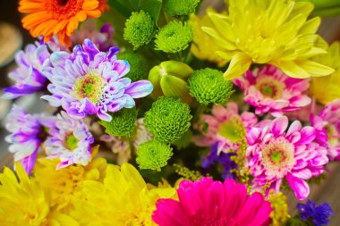 Pembe buket, kırmızı, sarı, mor çiçek açan.