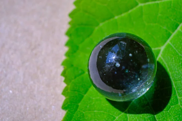 Macro Photo Glass Ball Green Leaf — Photo