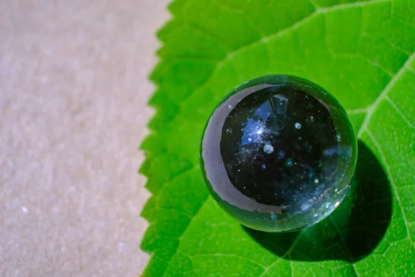 Macro Photo Glass Ball Green Leaf — ストック写真