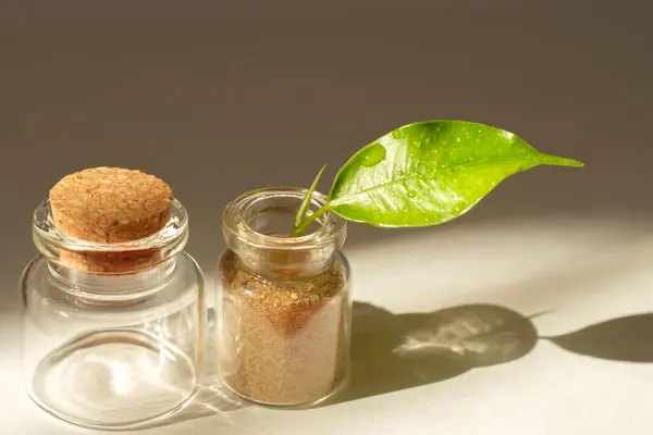Small Glass Jar Cork Leaf White Background — Photo