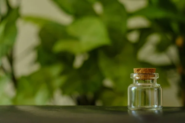 Small Glass Jar Cork Background Greenery — Photo