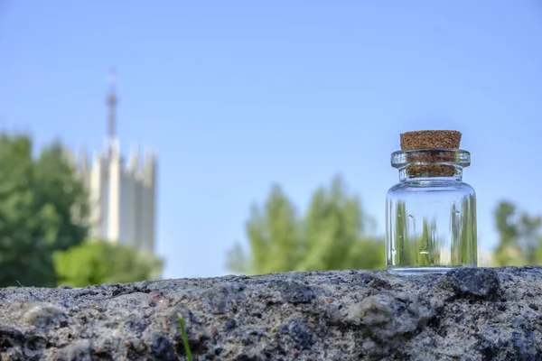 Small Empty Glass Jar Cork Standing Birch Log — Photo