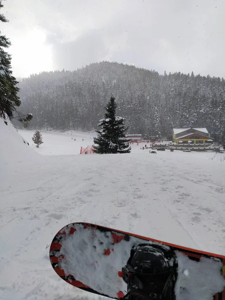 Snowboard tahtasıyla ayaklar dinleniyor ağaçların ve kulübenin manzarasıyla, kışın beyaz, yeşil