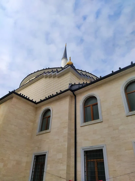 Camiinin minaresindeki bir sürü kuşun fotoğrafı, mavi, kahverengi.